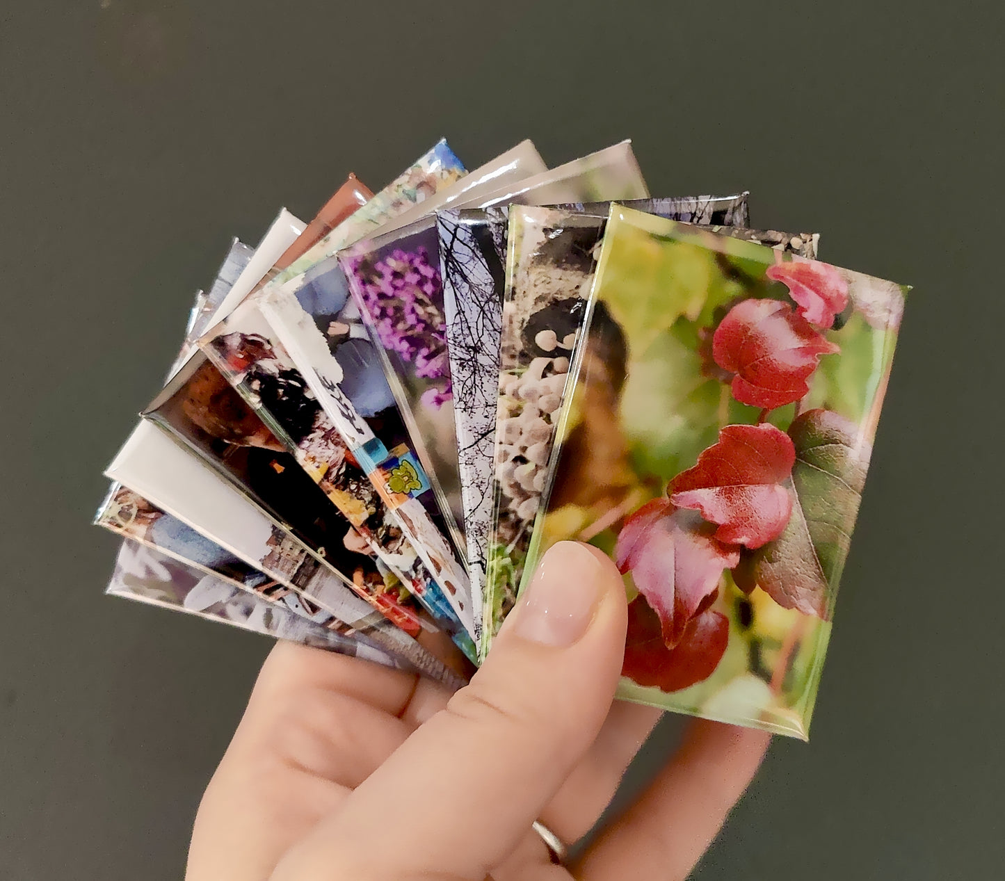 Nine personalised Photo Magnets